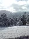 Beautiful snow packed trees